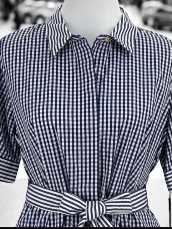 Calvin Klein Dresses & Skirts - CALVIN KLEIN PETITE SIZE 12 BLUE & WHITE COTTON GINGHAM FIT & FLARE MAXI DRESS